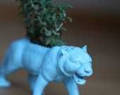 il_170x135_422895079_lv3e