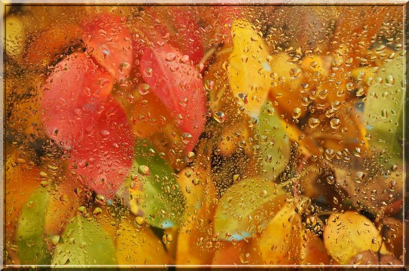 pluie