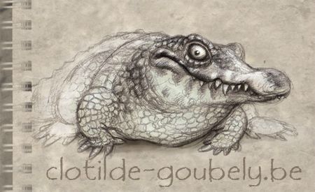 croco-crayon2
