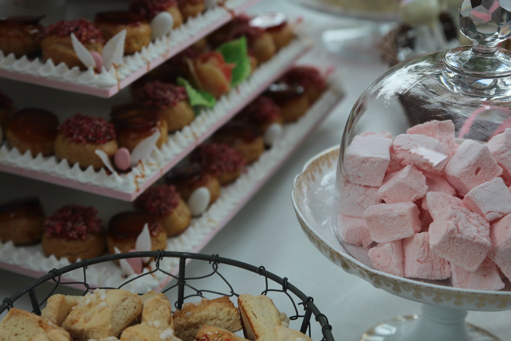 Le Baptême de Bérénice la pâtisserie , Les canistrellis