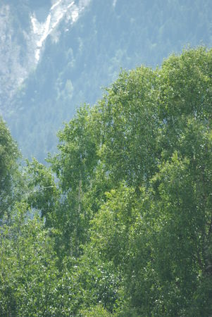 IMGP3399