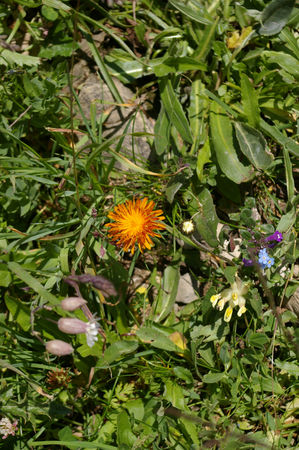 IMGP0745