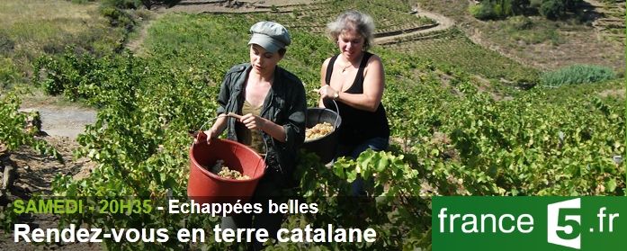 Sans_titre_1