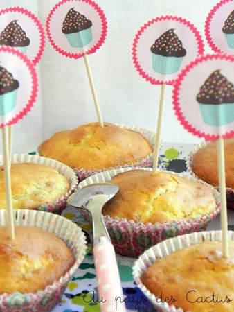 Muffins framboises-pécans Au pays des Cactus 1