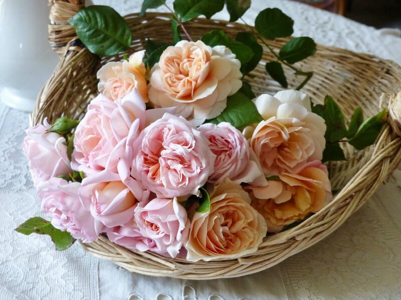 bouquet 2016 (9)