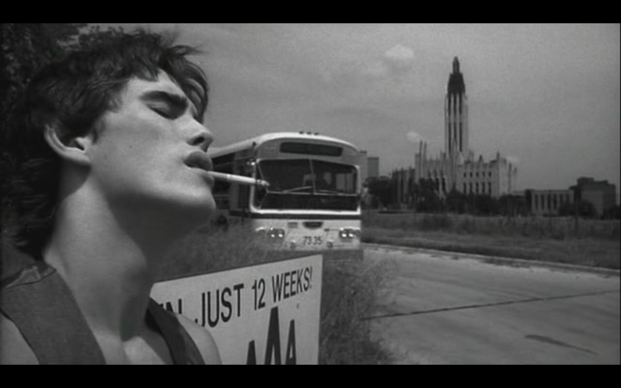 Rumble fish essay