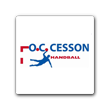 CESSON