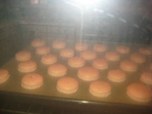 IMG_0330