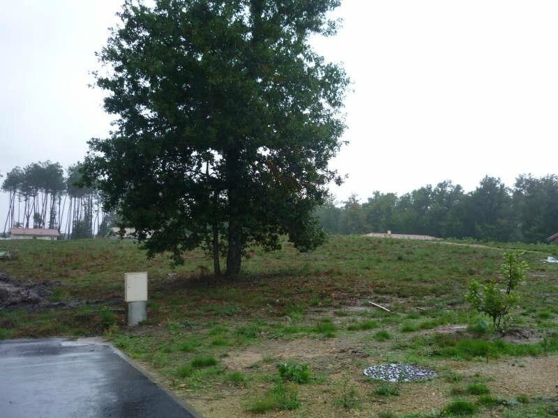 Photo-terrain-vente-lot-Lüe2