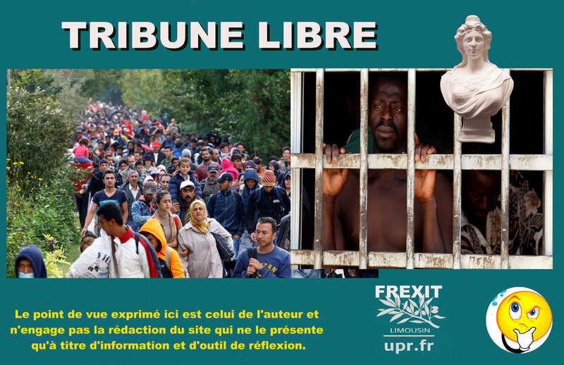 TL MIGRANTS