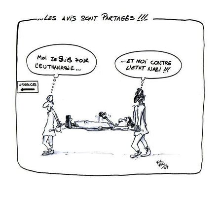 Conclusion Dissertation Euthanasie