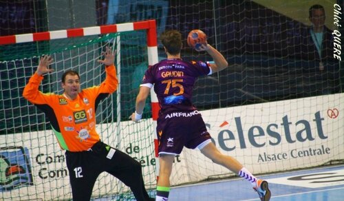 Gaudin Sélestat 2015