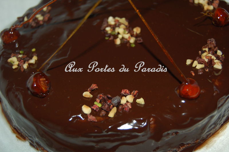 Gâteau fondant au chocolat et aux noisettes caramélisées