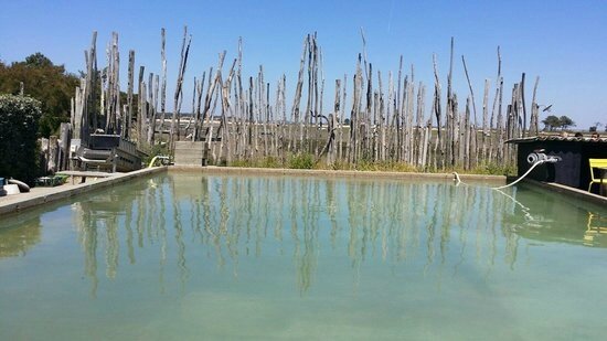 le-bassin-a-huitres