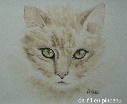 regard de chat (aquarelle)