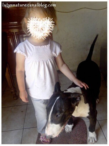 bull et elle