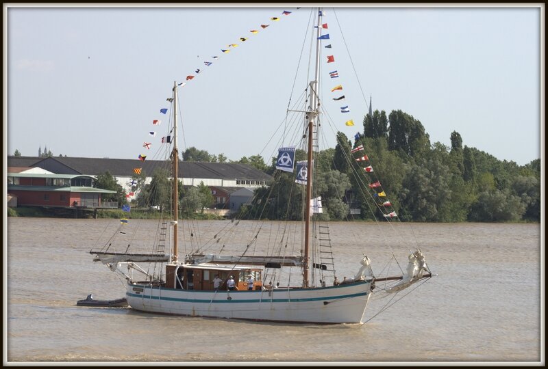 IMG_5224-001