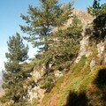 Pic de Viscos 2 141 m, octobre 2007