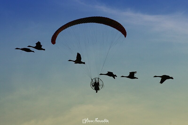 Flying with friends A