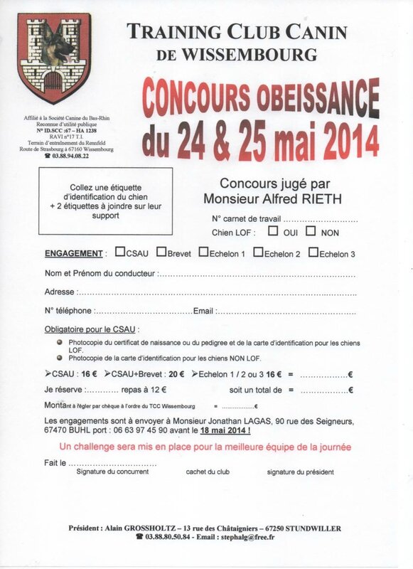 Photos du concours d'Agility - Training Club Canin de Photos du concours d'Agility - Training Club Canin de