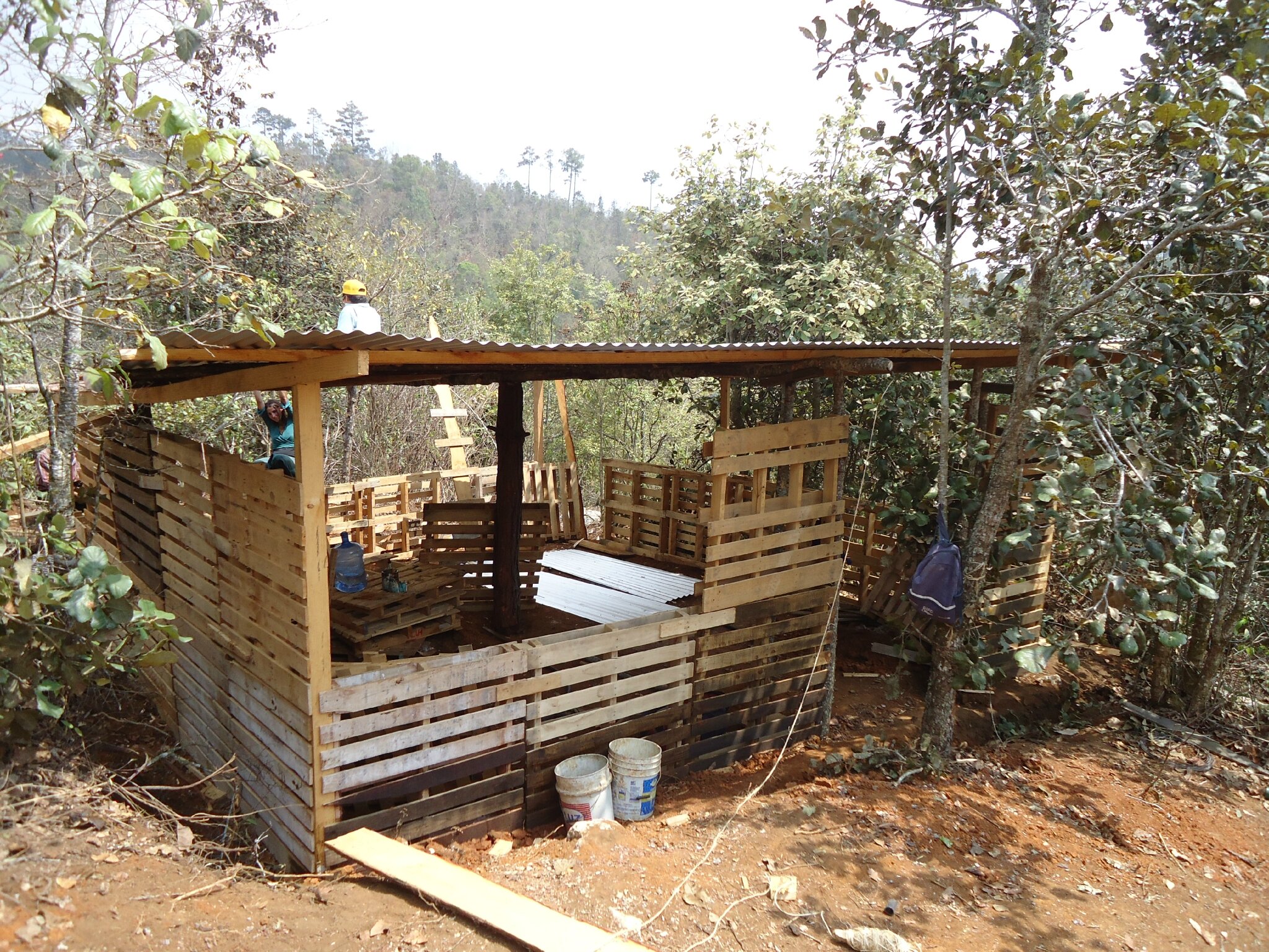 Cabane en bois fabrication