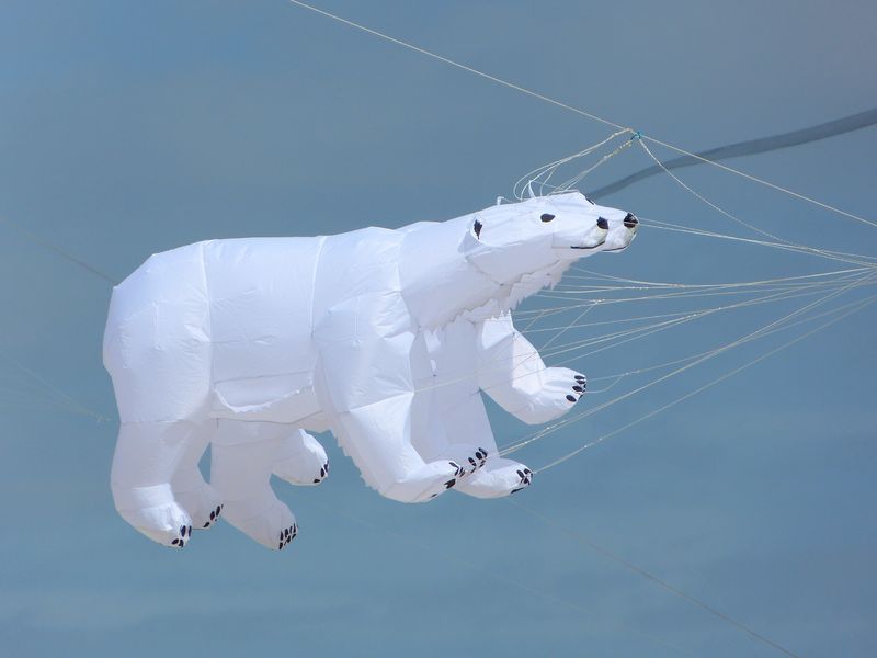 27e rencontres internationales de cerfs-volants