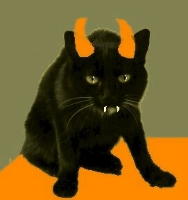chat