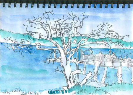 alsea bay