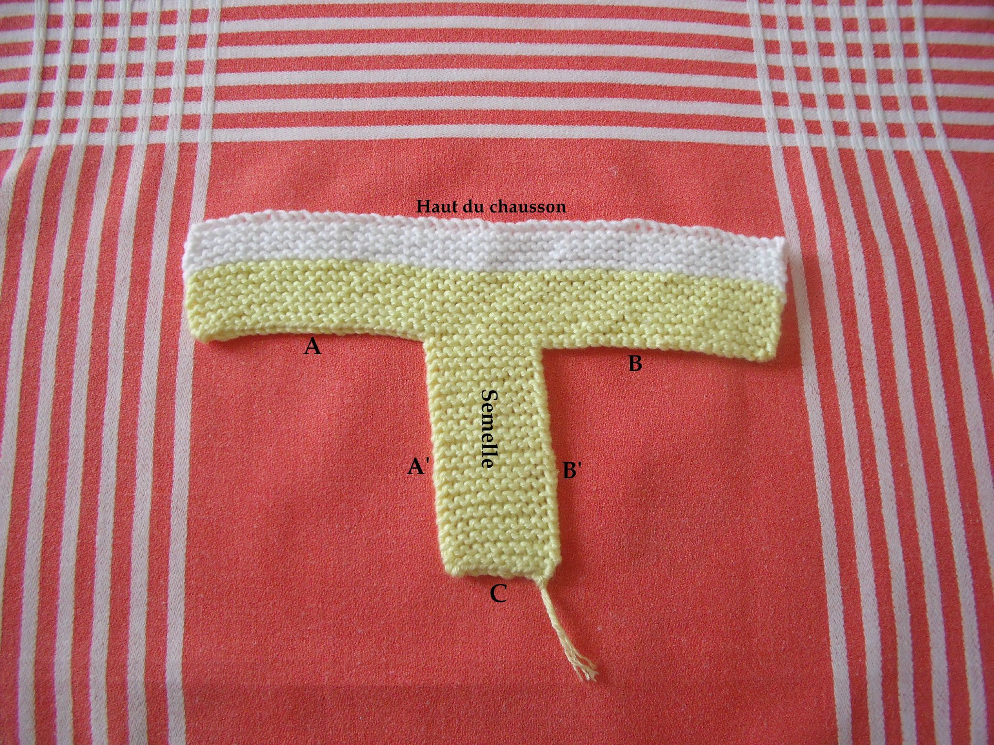 tricoter debutant