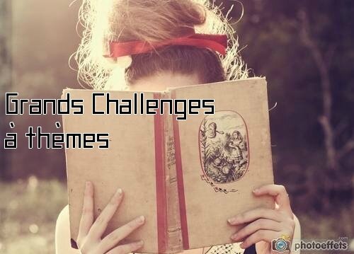Grands Challenges à thèmes