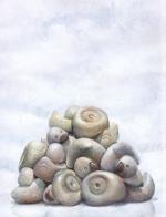 Patitos de piedra