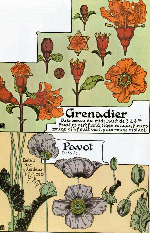 Victorian Floral Illustrations by Carol Belanger Grafton