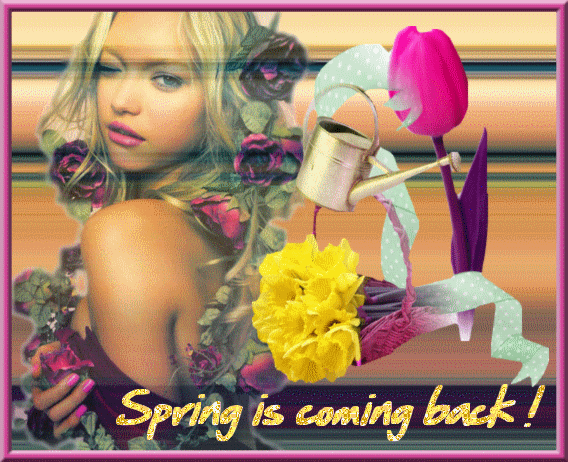 spring3