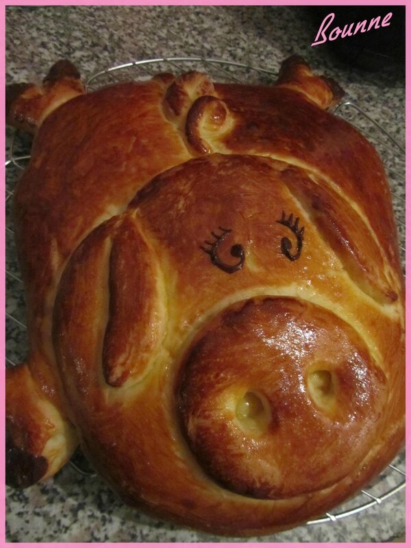 Mon cochon brioché (8)
