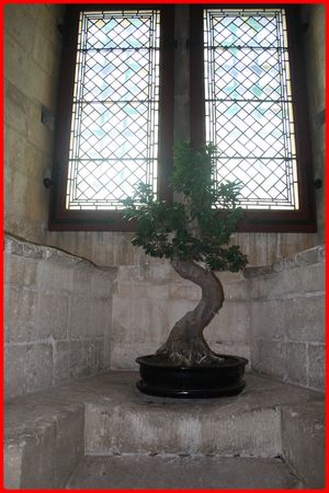 tarascon_044