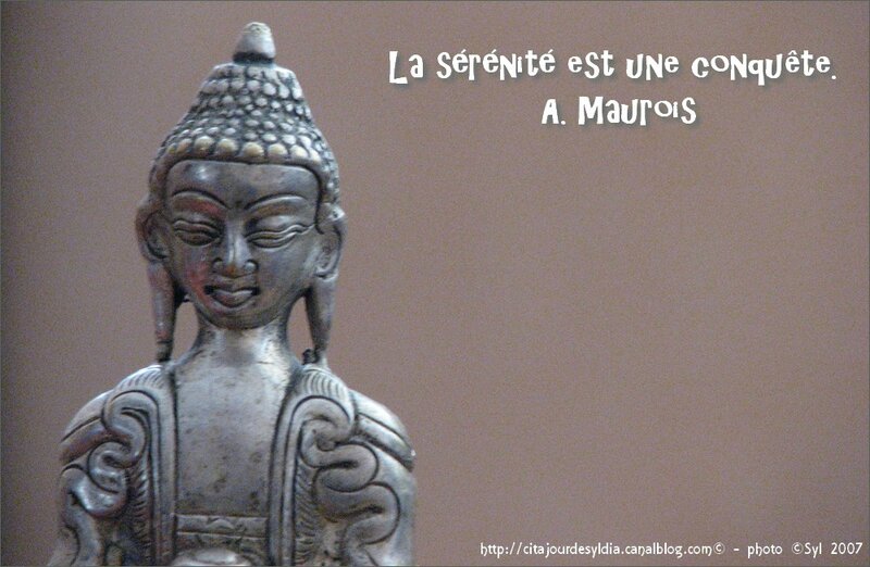 2011 E SERE