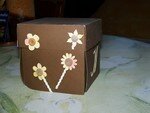 Photo_013