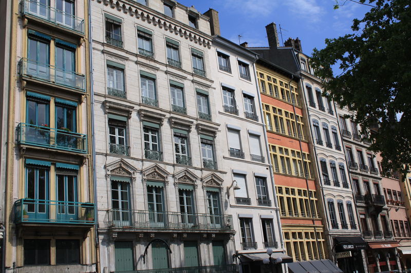 Lyon_562
