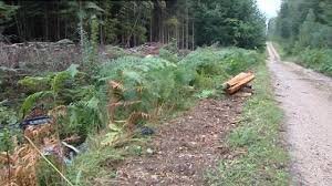 volforetdechaux