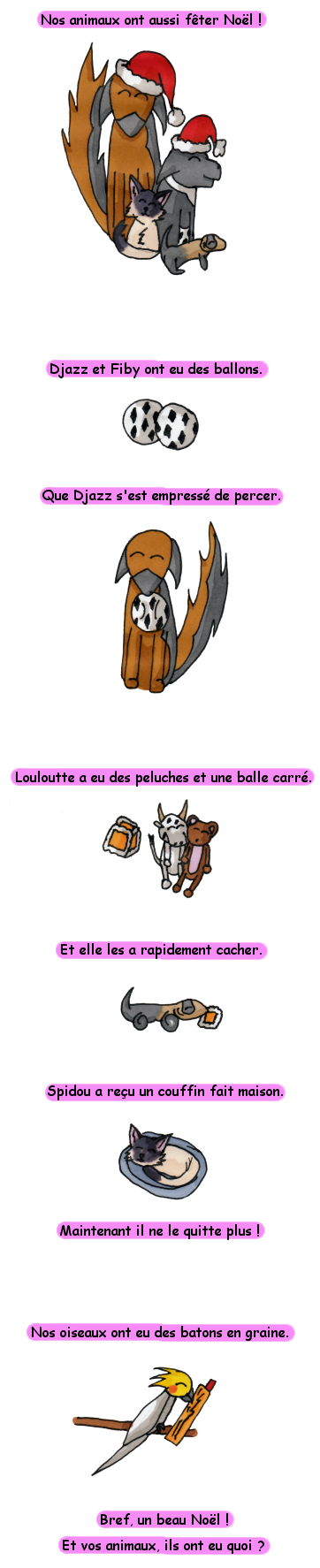 noelanimaux