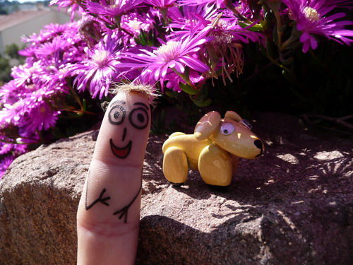 Rencontre avec un citron