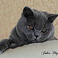 _DSC0092