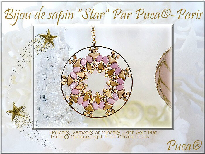 Star Rose