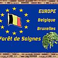 Belgique : Forêt de Soignes