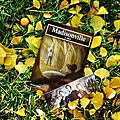 Madisonville, tome 2 : marie, de nicolas combe & florence voss