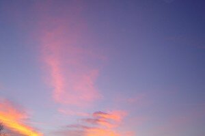 DSC03697