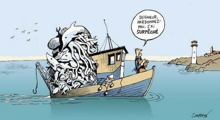 surpeche