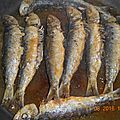 DSCN0265