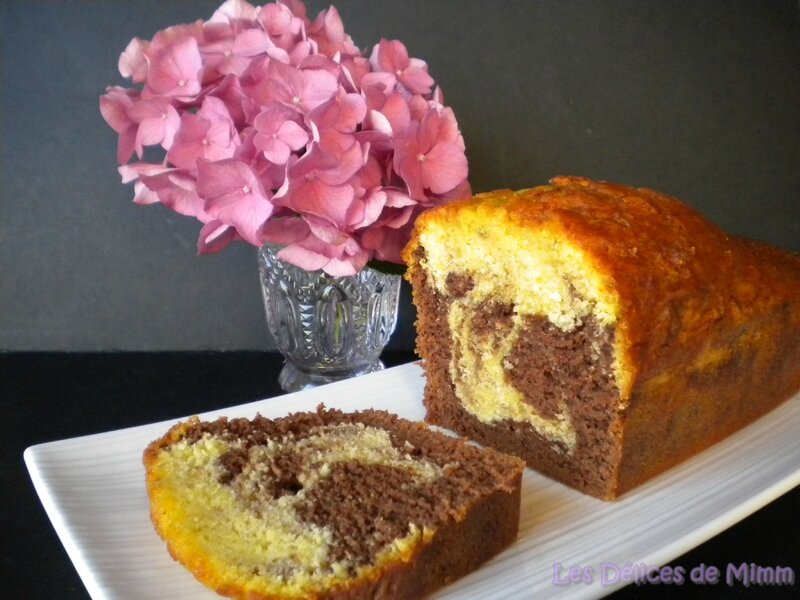 Cake marbré au chocolat façon savane 2