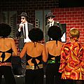 Blues brothers et soul sisters par muses & c° à l'adec à rennes le 28 févier 2014 (4)